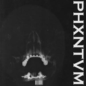 PHXNTVM (Explicit)