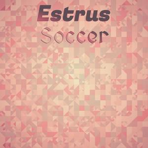 Estrus Soccer