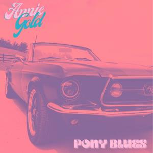 pony blues (Explicit)