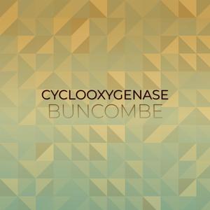 Cyclooxygenase Buncombe