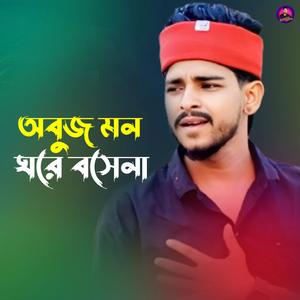 অবুজ মন ঘরে বসেনা