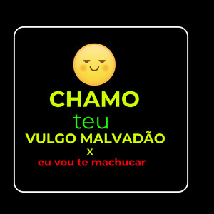 CHAMO TEU VULGO MALVADÃO X EU VOU TE MACHUCAR (Explicit)