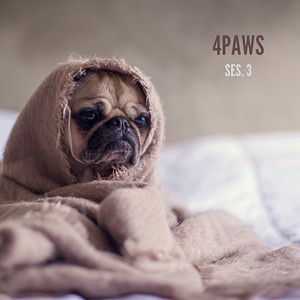 Dog Music Experience Pt. 5