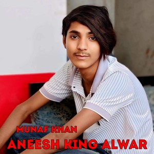 Aneesh King Alwar