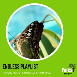 Endless Playlist - Nature Music for Relaxing Ambience