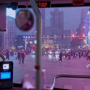 鹦鹉 (治愈女版)