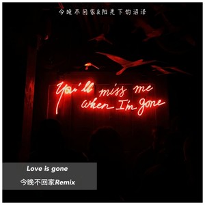 Love is gone（今晚不回家Remix.）