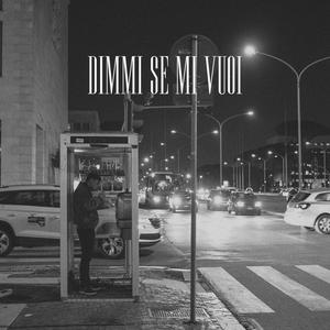 Dimmi Se Mi Vuoi (feat. Jimmy Vega & Raize) (Explicit)