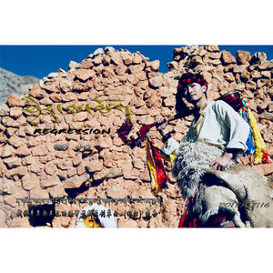 扎西旺甲 - 回归