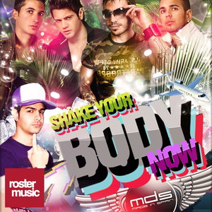 Shake Your Body Now (feat. Mr. Rommel)