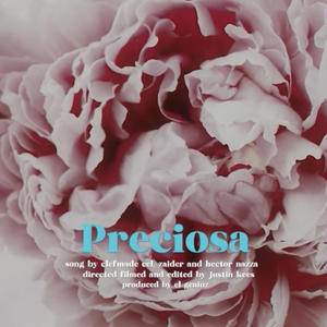 Preciosa (feat. Zaider & Hector Nazza)