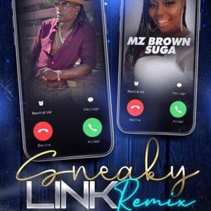 Sneaky Link (Remix|Explicit)