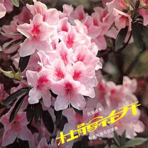 中央民族乐团 - 紫竹调