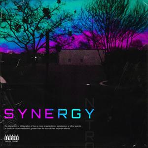 Synergy (Explicit)