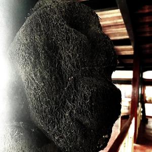 NO DISRESPECT (feat. V14) (Explicit)