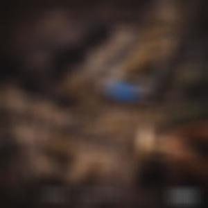 Lyke What (Explicit)