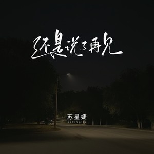 还是说了再见 (伴奏) - 苏星婕封面
