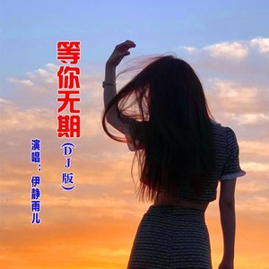 等你无期 (DJ版)