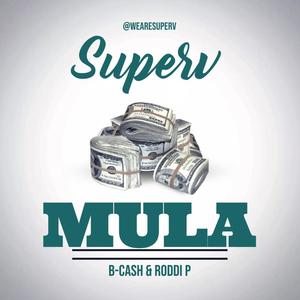 Mula (feat. B-Cash & Roddi P) (Explicit)