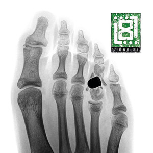 Showman Au Chômage (Explicit)