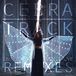 I'm Not a Stalker, This is Love (Remixes)