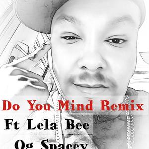 Do You Mind (feat. Lela Bee & Og Spacey) [Explicit]