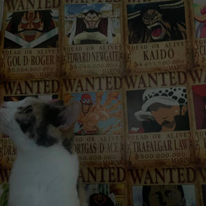 troof (hope 3) (Explicit)