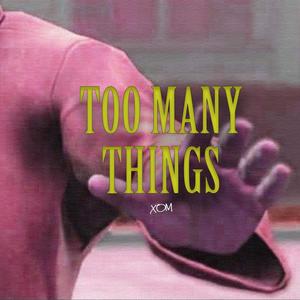 TOO MANY THINGS (Explicit)