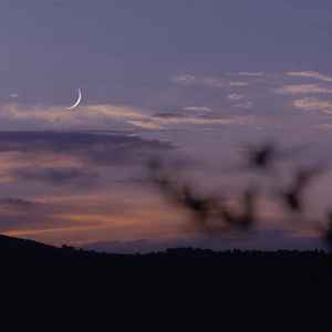 耳朵加油站 - 偏爱 (DJ停顿版)