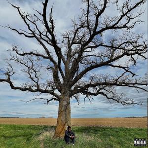 Number 1 Contender (Explicit)