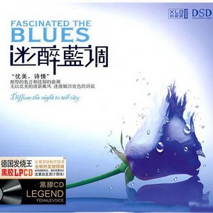 为爱投降封面