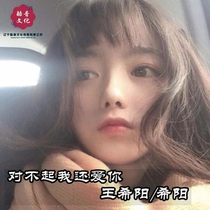 对不起我还爱你