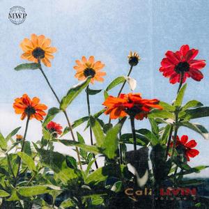 November +24 Varispeed (feat. STEARMAAN)