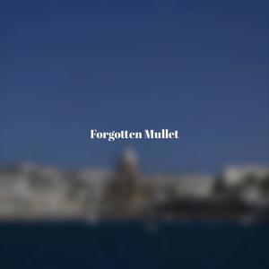 Forgotten Mullet