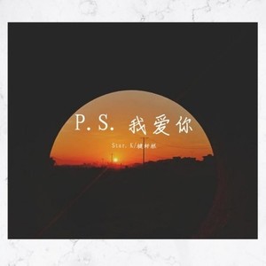 P.S.我爱你封面
