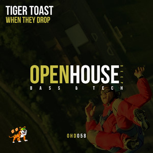 When They Drop (Original Mix)