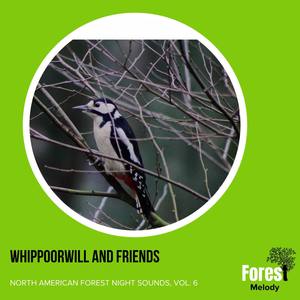 Whippoorwill and Friends - North American Forest Night Sounds, Vol. 6