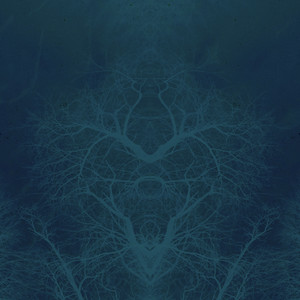 Gossamer Ladder