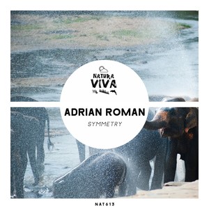 Adrian Roman - Regen