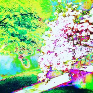 multimafiaboys (feat. Huitron La H & Multiflow) (Explicit)