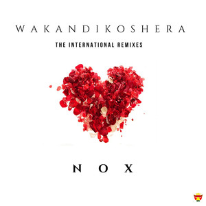 Wakandikoshera (The Remixes)