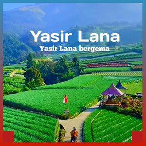 Yasir Lana Bergema