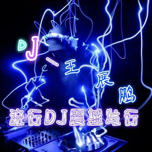 DJ嗨曲