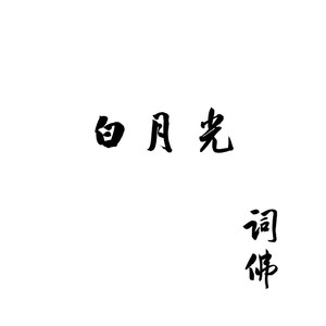 白月光