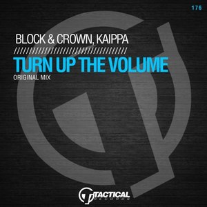 Turn up the Volume (Original Mix)