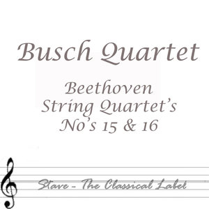 String Quartet No. 15 in A Minor, Op. 132: I. Assai sostenutto allegro