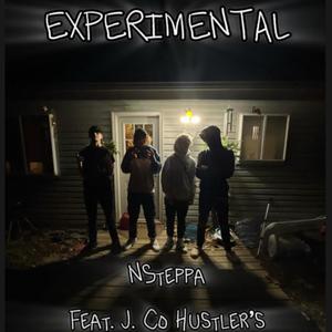 EXPERIMENTAL (Explicit)