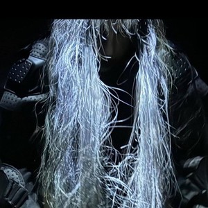 Loxosceles reclusa (Explicit)