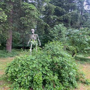 Closed Curtain (Radio Edit|Explicit)