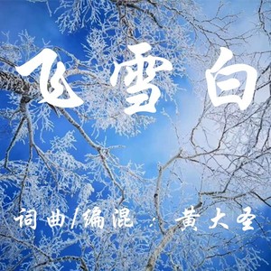 飞雪白
